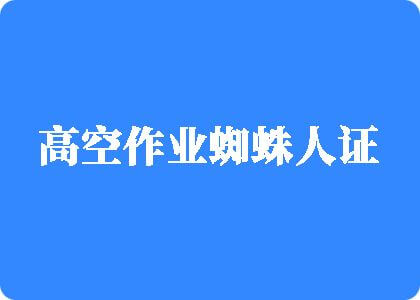 www.中文字幕高空作业蜘蛛人证