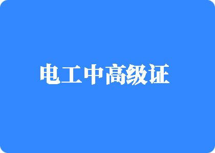 52gao成人网站入口电工中高级证